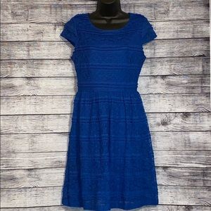 Electric Blue Lace Dress